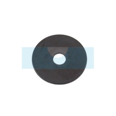 Rondelle pour Echo (17501939430)